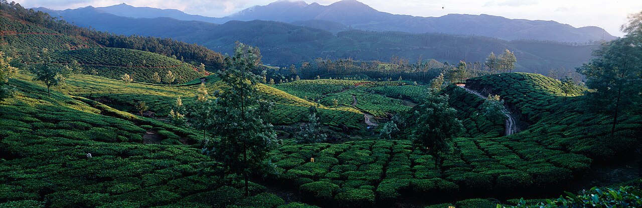 Kerala honeymoon package from Delhi